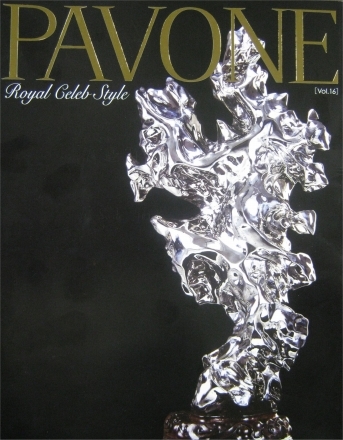 PAVONE '10 vol.16